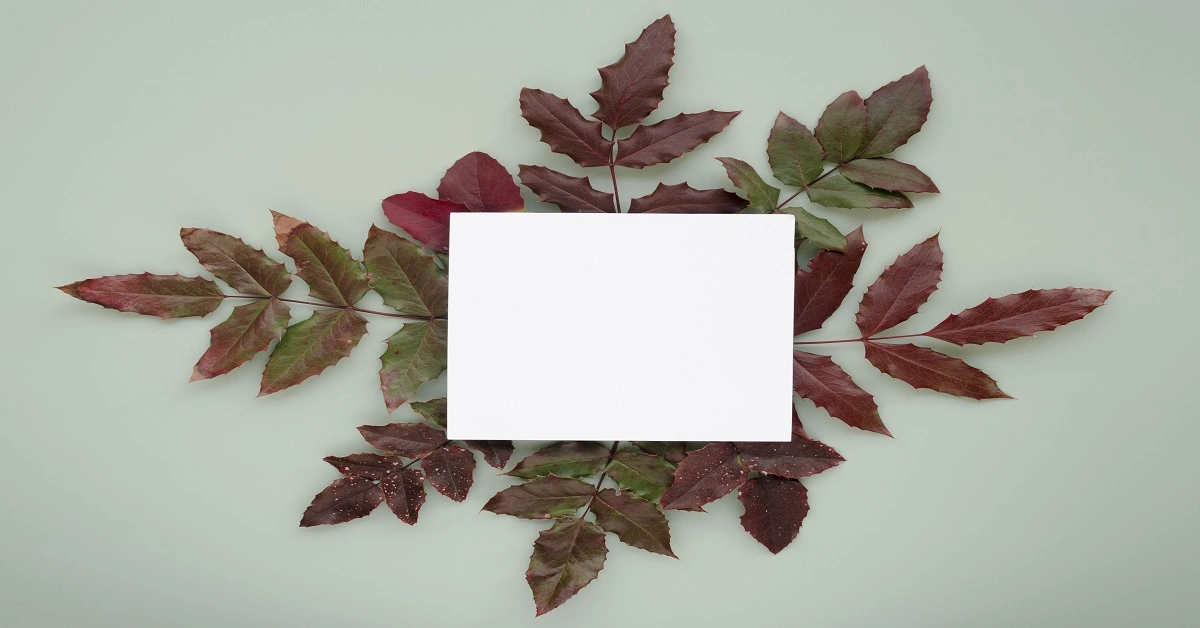 Natural items give a natural look to the house, with the help of which your house looks beautiful and attractive.